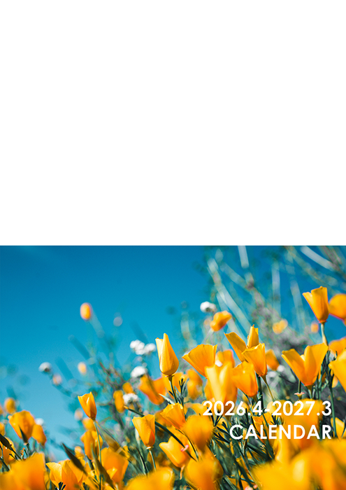 design-18