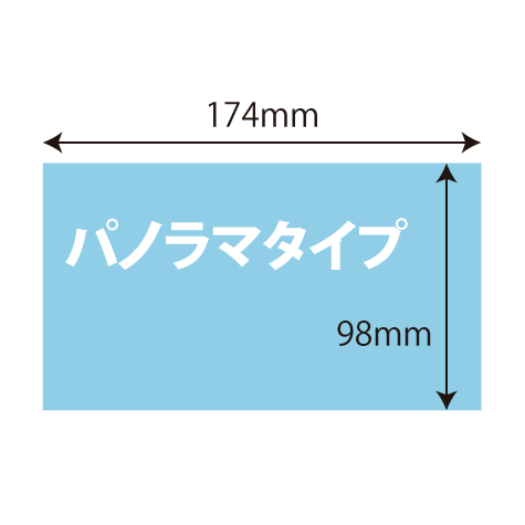 パノラマタイプ