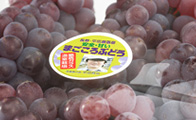 シール印刷 オフセット