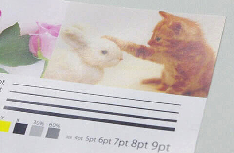 通常ポストカード