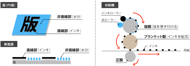 オフセット印刷の意味と構造