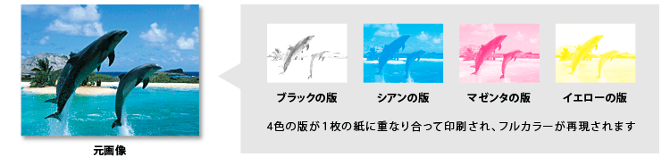 オフセット印刷の版