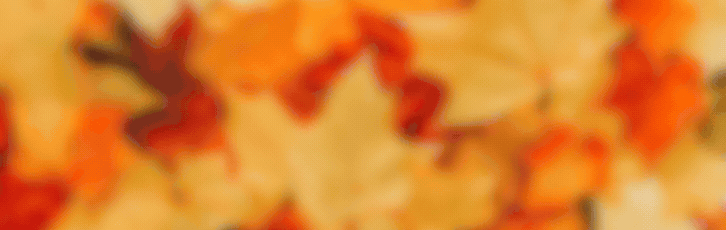  ǯޤ 