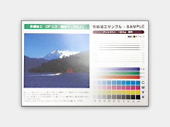 OPニス加工(つやあり)