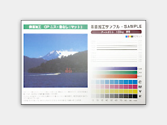 OPニス加工(つやなし)