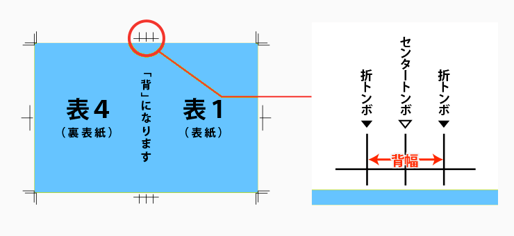 背の指示方法