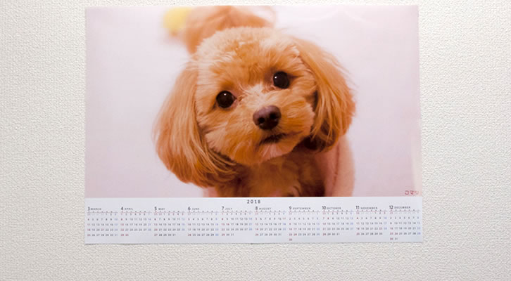 愛犬の写真とカレンダーを配置し、一年中飾れるポスターに。